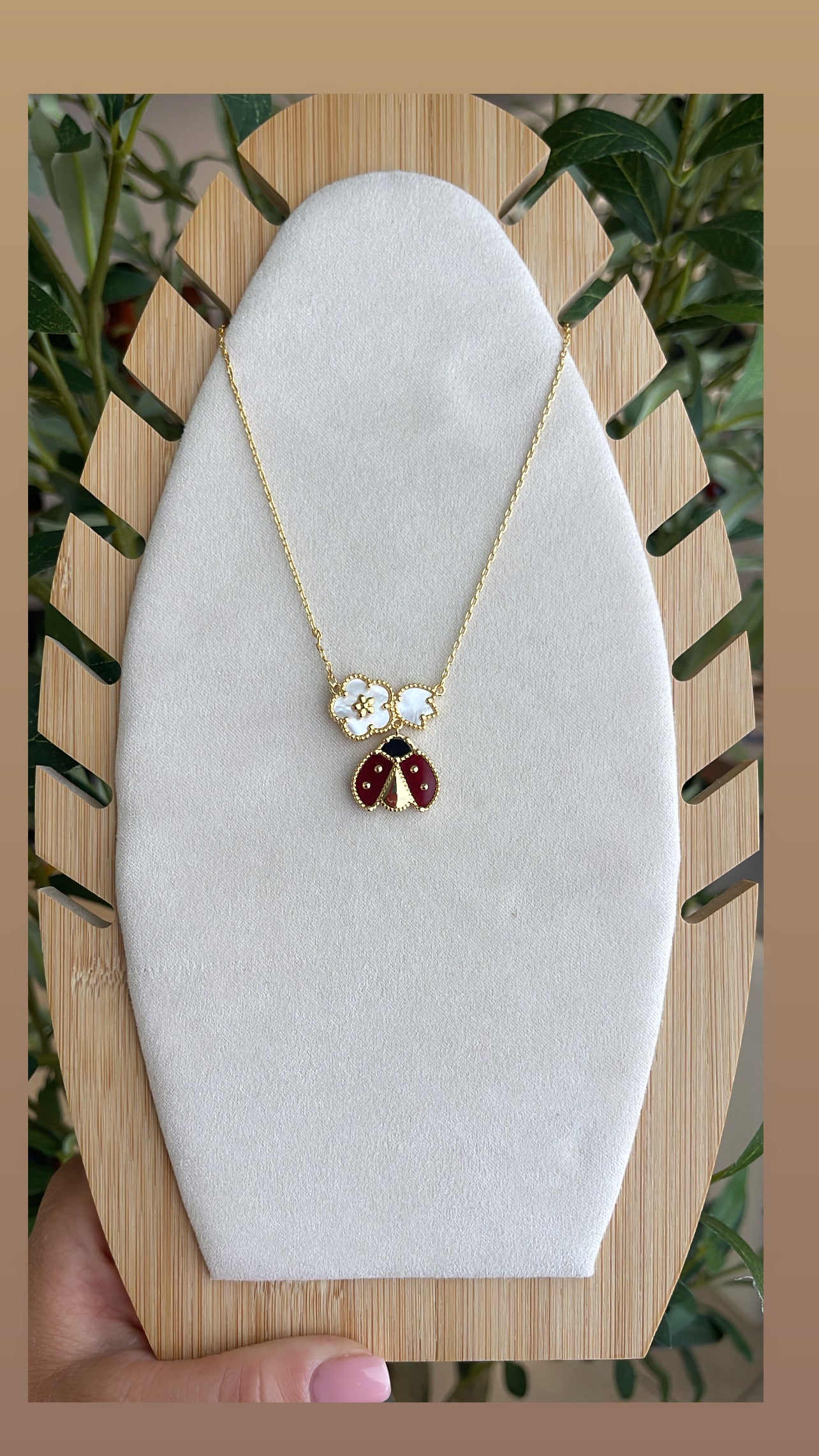Van lady bug flower