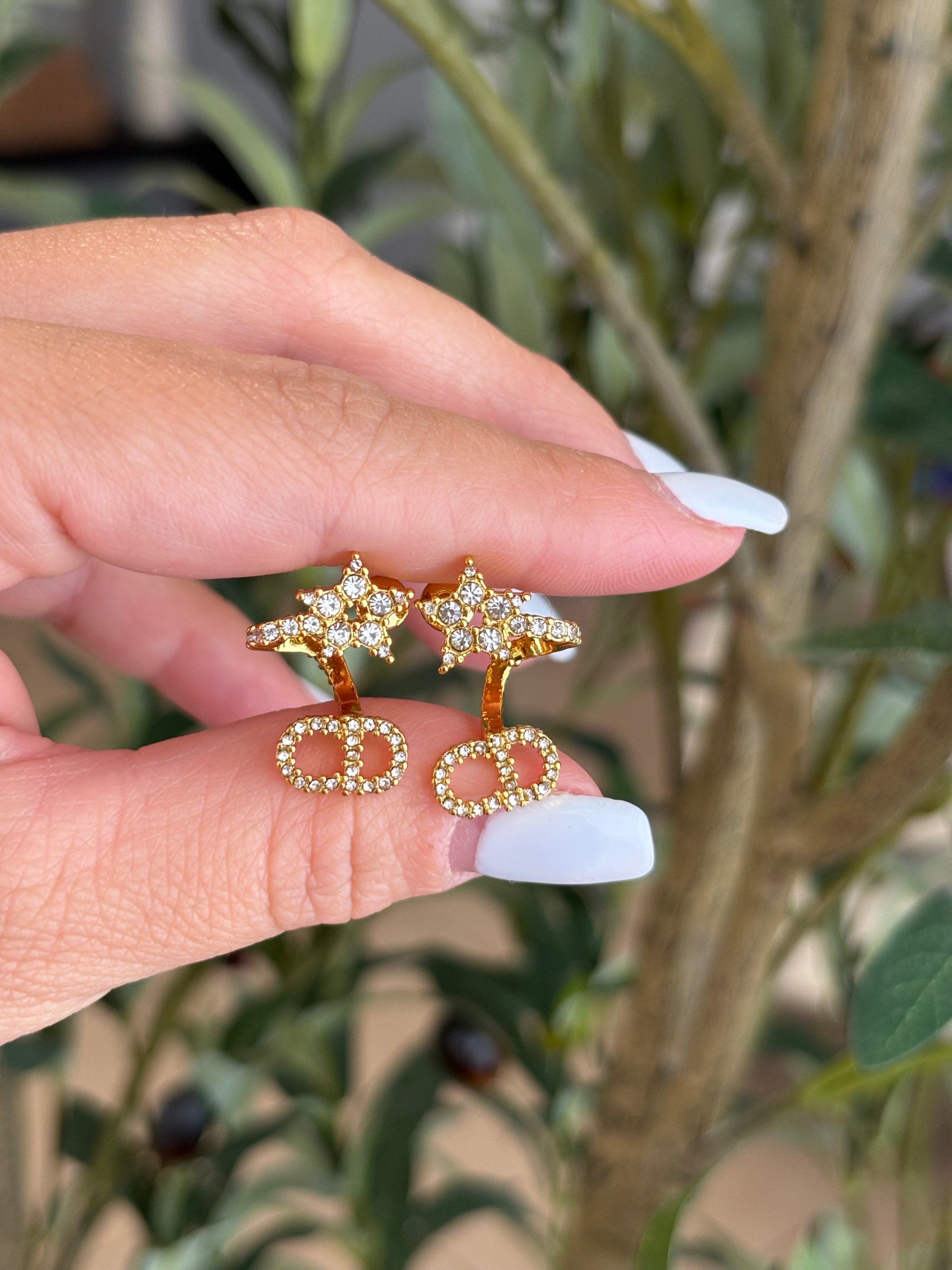 Dio earrings